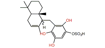 Siphonodictyol I